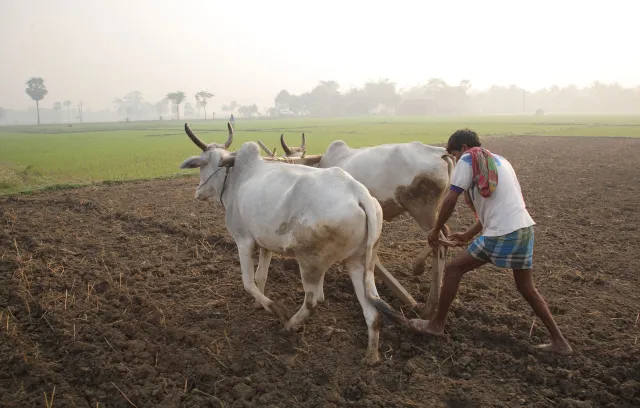 Farmer’s health: The conscience call for action